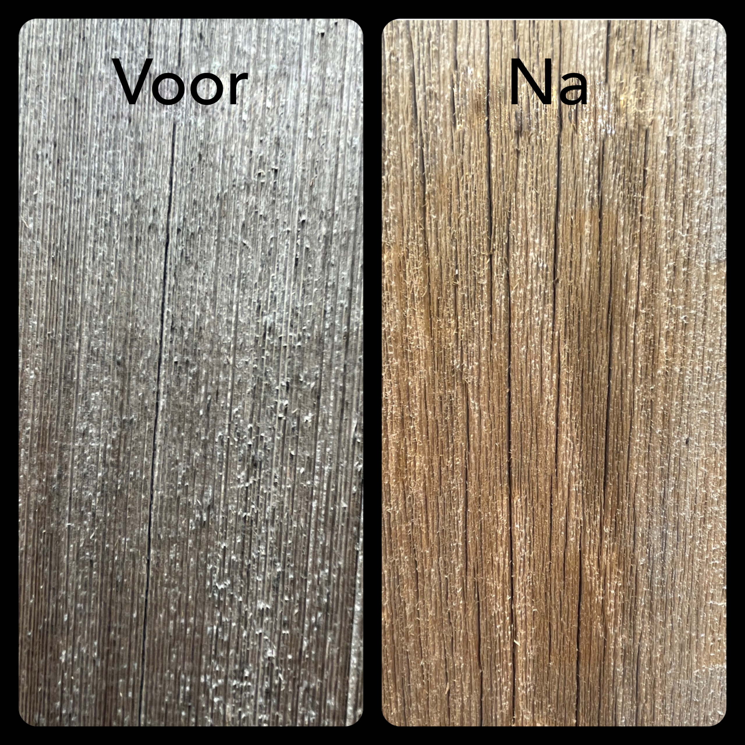 Damo logerij - voorbeeld